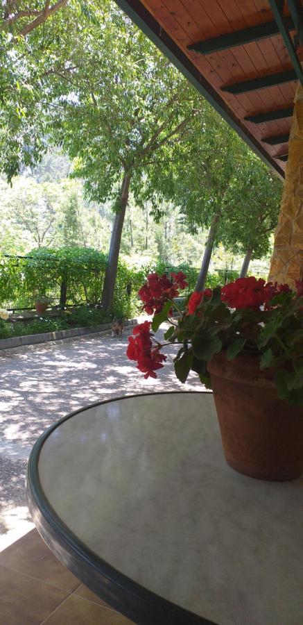 Cortijo el Cercadillo Pension Bedmar y Garciez Buitenkant foto